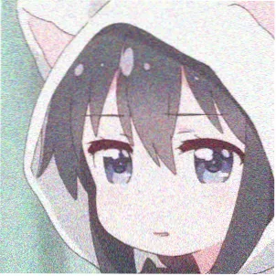 书友 铁皮屋顶 的头像